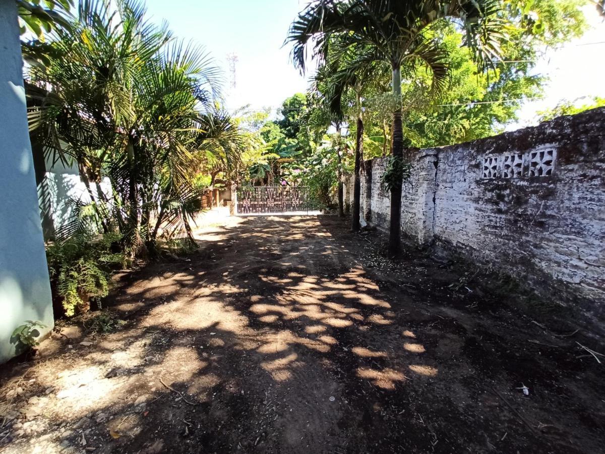 مبيت وإفطار مويوجالبا Ometepe House المظهر الخارجي الصورة