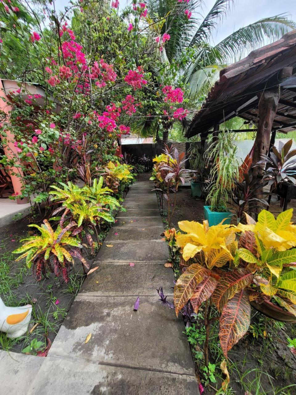 مبيت وإفطار مويوجالبا Ometepe House المظهر الخارجي الصورة